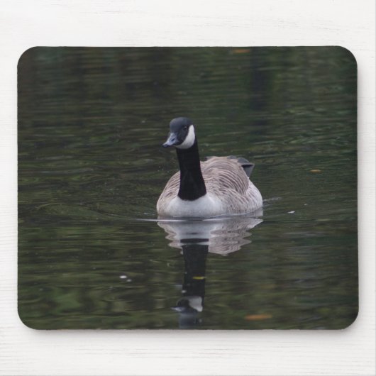 Canada Goose Muismat (Voorkant)