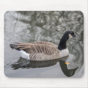 Canada Goose Muismat