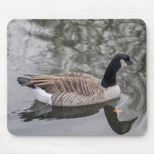 Canada Goose Muismat (Voorkant)