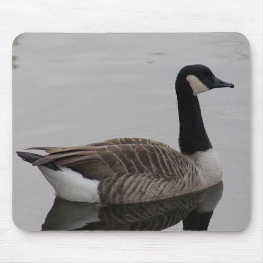 Canada Goose Muismat (Voorkant)
