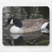Canada Goose Muismat (Voorkant)