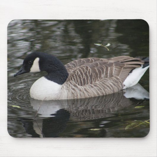 Canada Goose Muismat (Voorkant)