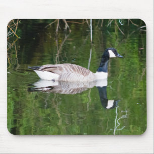 Canada Goose Muismat