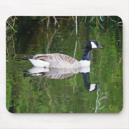 Canada Goose Muismat (Voorkant)