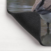 Canada Goose Muismat (Hoek)