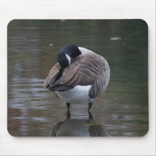 Canada Goose Muismat