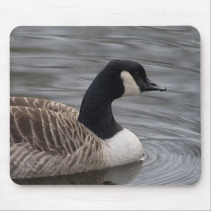 Canada Goose Muismat