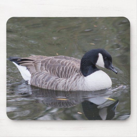 Canada Goose Muismat (Voorkant)