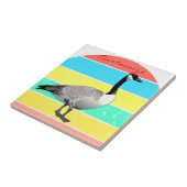 Canada Goose Multi-Color Sun Thunder_Cove Tegeltje (Zijkant)