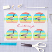 Canada Goose Multi-Color Sun Thunder_Cove Tissuepapier (Craft)