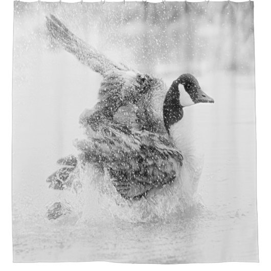 Canada Goose neemt een bad Douchegordijn (Voorkant)