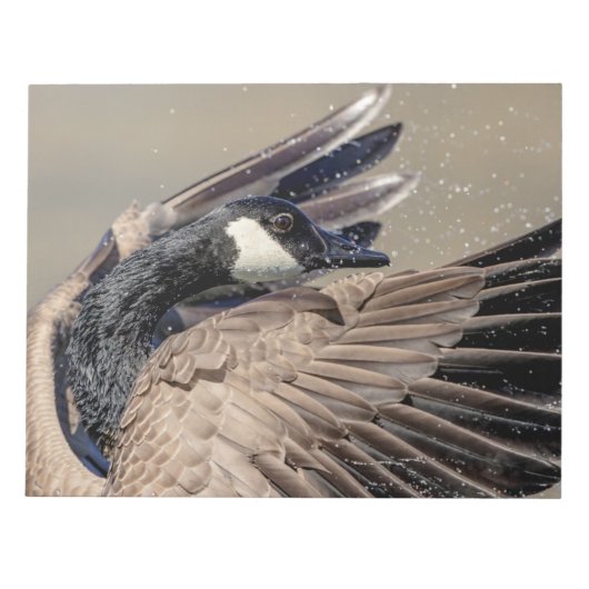 Canada Goose Notitieblok (Voorkant)