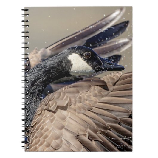 Canada Goose Notitieboek (Voorkant)