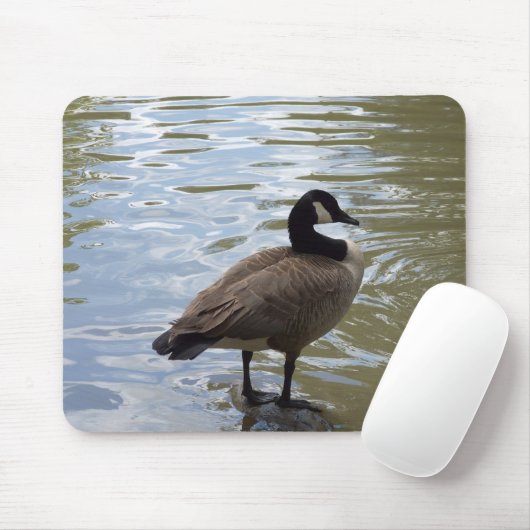 Canada Goose On Rock Muismat (Met muis)