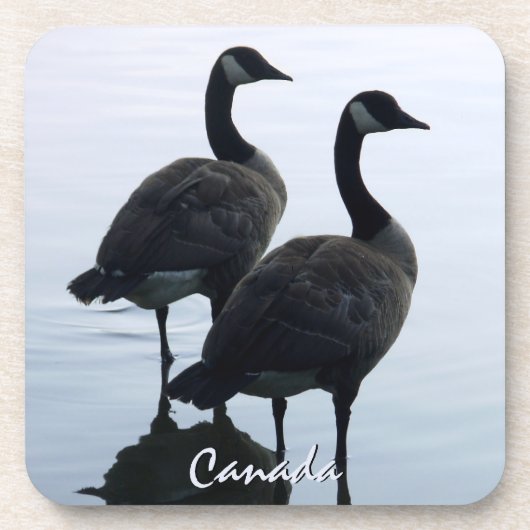 Canada Goose Onderzetter Custom Canada Onderzetter (Voorkant)