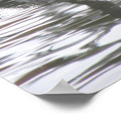 Canada Goose op de waterafdruk Poster (Hoek)