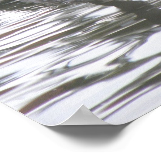 Canada Goose op de waterafdruk Poster (Hoek)