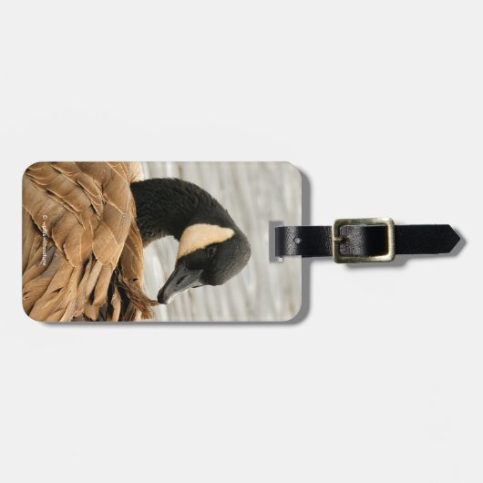 Canada Goose op het meer Bagagelabel (Voorkant horizontaal)