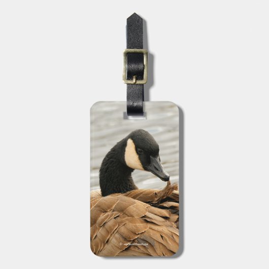 Canada Goose op het meer Bagagelabel (Voorkant verticaal)