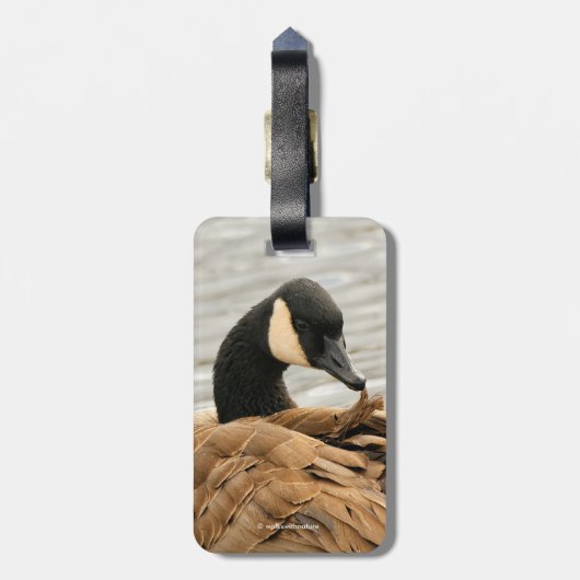 Canada Goose op het meer Bagagelabel (Achterkant verticaal)