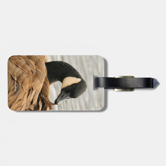 Canada Goose op het meer Bagagelabel (Achterkant horizontaal)