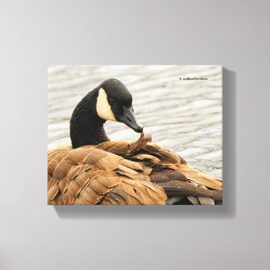Canada Goose op het meer Canvas Afdruk (Voorkant)