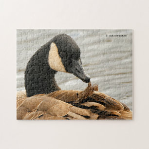Canada Goose op het meer Legpuzzel