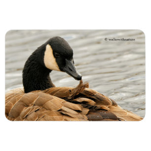 Canada Goose op het meer Magneet