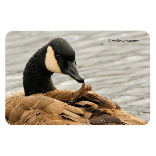 Canada Goose op het meer Magneet (Horizontaal)
