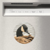 Canada Goose op het meer Magneet (Insitu (Vaatwasser))