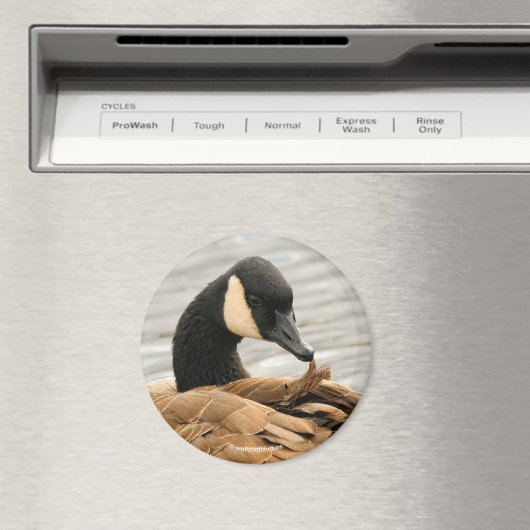 Canada Goose op het meer Magneet (Insitu (Vaatwasser))