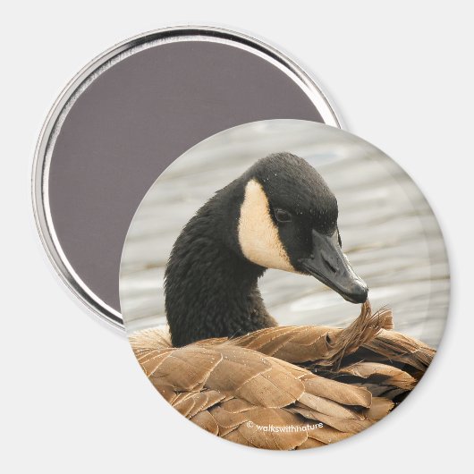 Canada Goose op het meer Magneet (Voorkant / Achterkant)