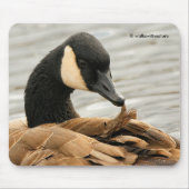 Canada Goose op het meer Muismat (Voorkant)