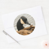 Canada Goose op het meer Ronde Sticker (Envelop)