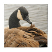 Canada Goose op het meer Tegeltje (Voorkant)