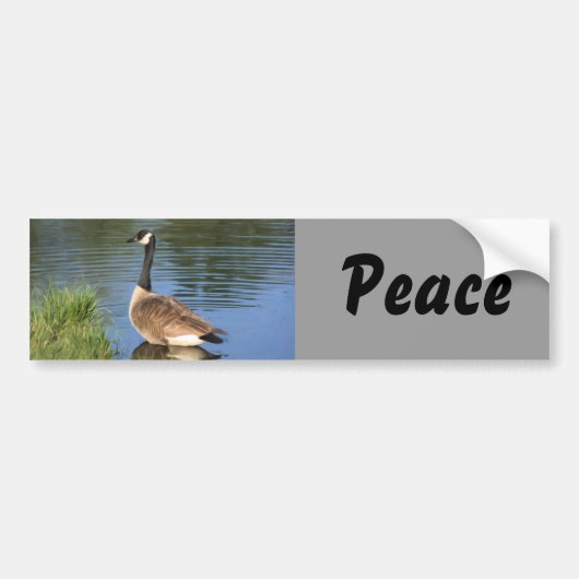 Canada Goose Peace Bumpersticker (Voorkant)
