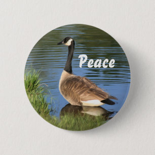 Canada Goose Peace Inspirerend Button