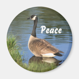 Canada Goose Peace Inspirerend Magnet