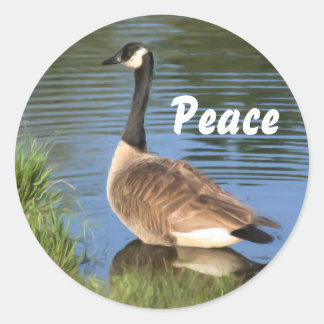 Canada Goose Peace Inspirerend Ronde Sticker