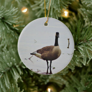 Canada Goose Photo Keramisch Ornament