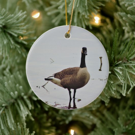 Canada Goose Photo Keramisch Ornament (Boom)