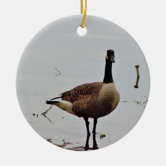 Canada Goose Photo Keramisch Ornament (Voorkant)