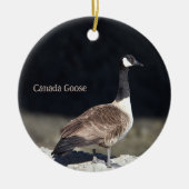 Canada Goose Photo Ornament (Voorkant)