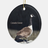 Canada Goose Photo Ornament (Links)