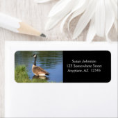 Canada Goose Photo Painting Address Etiket (Insitu)