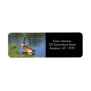 Canada Goose Photo Painting Address Etiket