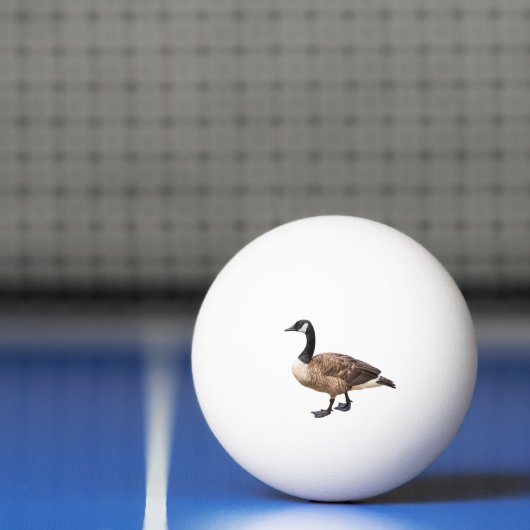 Canada Goose Pingpongbal (Net)