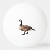 Canada Goose Pingpongbal (Voorkant)