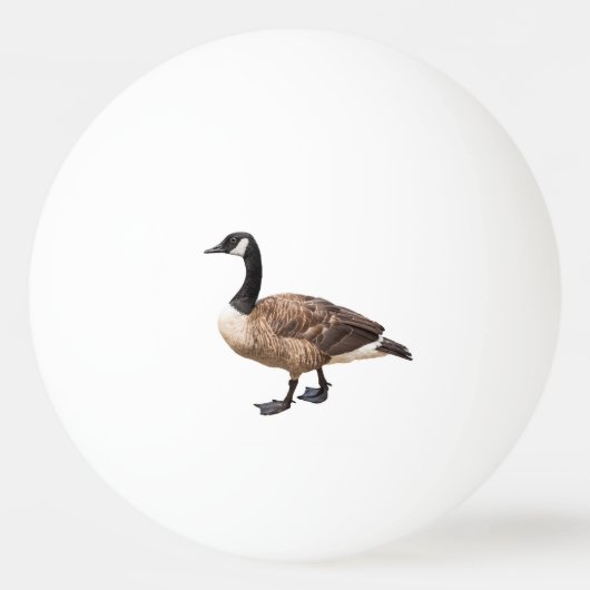 Canada Goose Pingpongbal (Voorkant)