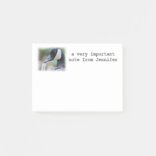 Canada Goose Post-it® Notes